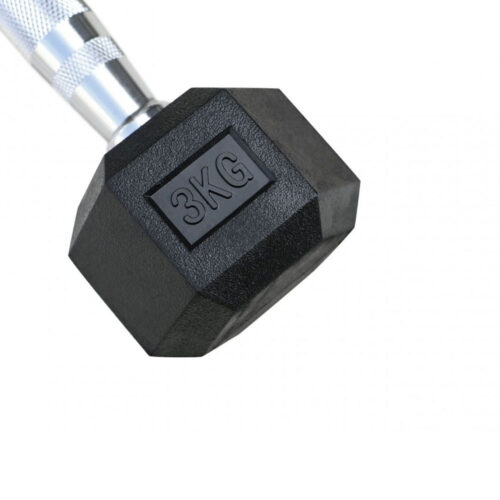 دمبل شش ضلعی مدل پاورجیم بسته دو عددی دمبل شش ضلعی مدل پاورجیم بسته دو عددی