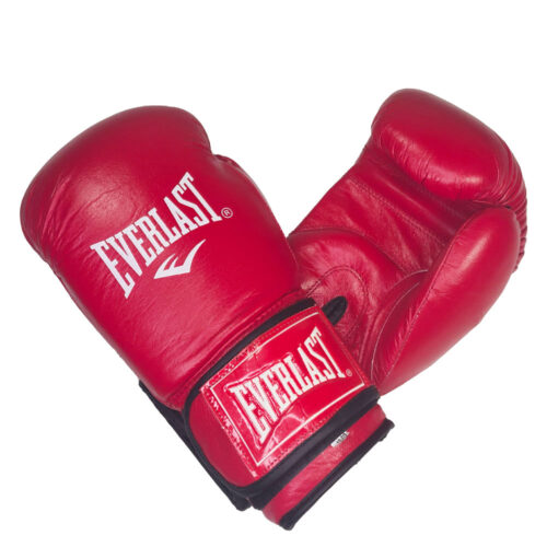 دستکش بوکس چرم مدل EVERLAST